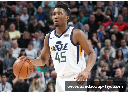 NBA联盟：最新排名及球队表现综述
