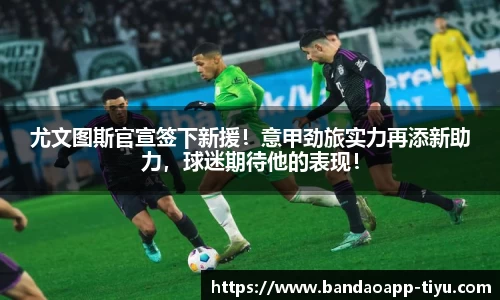 半岛体育app