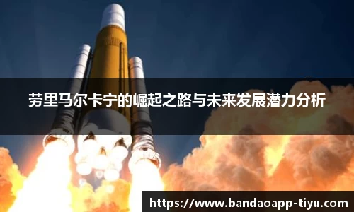 半岛体育