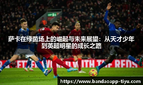 半岛体育官网